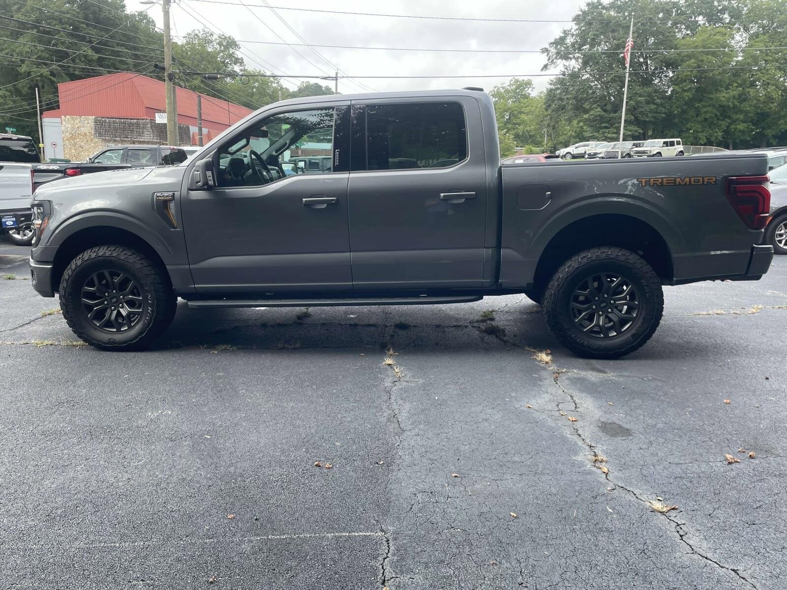 2024 Ford F-150 Tremor photo 2