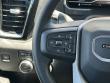 2024 GMC Sierra 1500 Denali Pickup