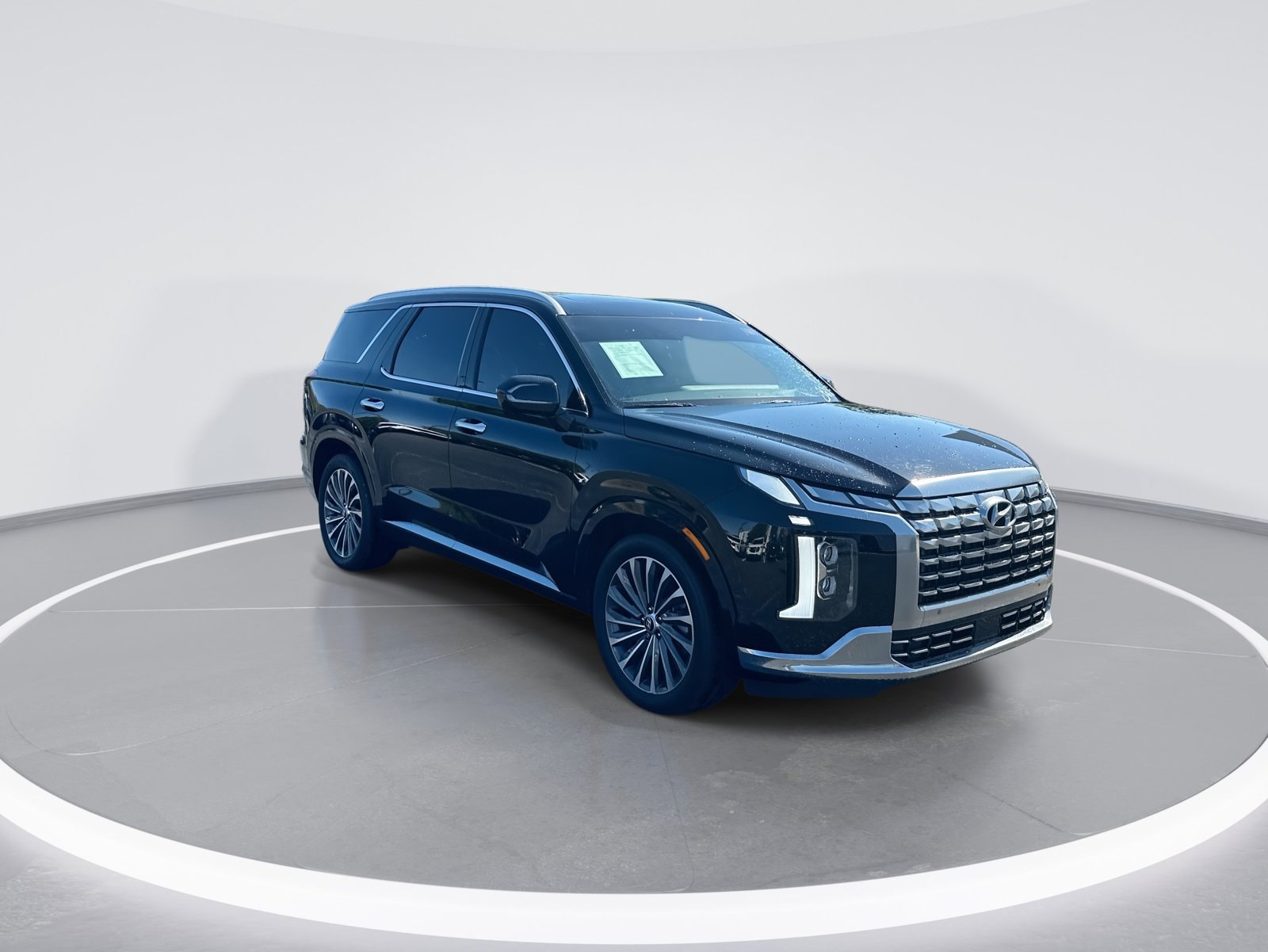Hyundai Palisade Calligraphy