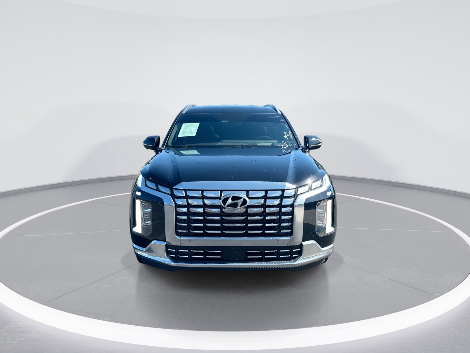 Hyundai Palisade Calligraphy
