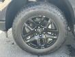 2025 Chevrolet Silverado 1500 High Country Truck Crew Cab