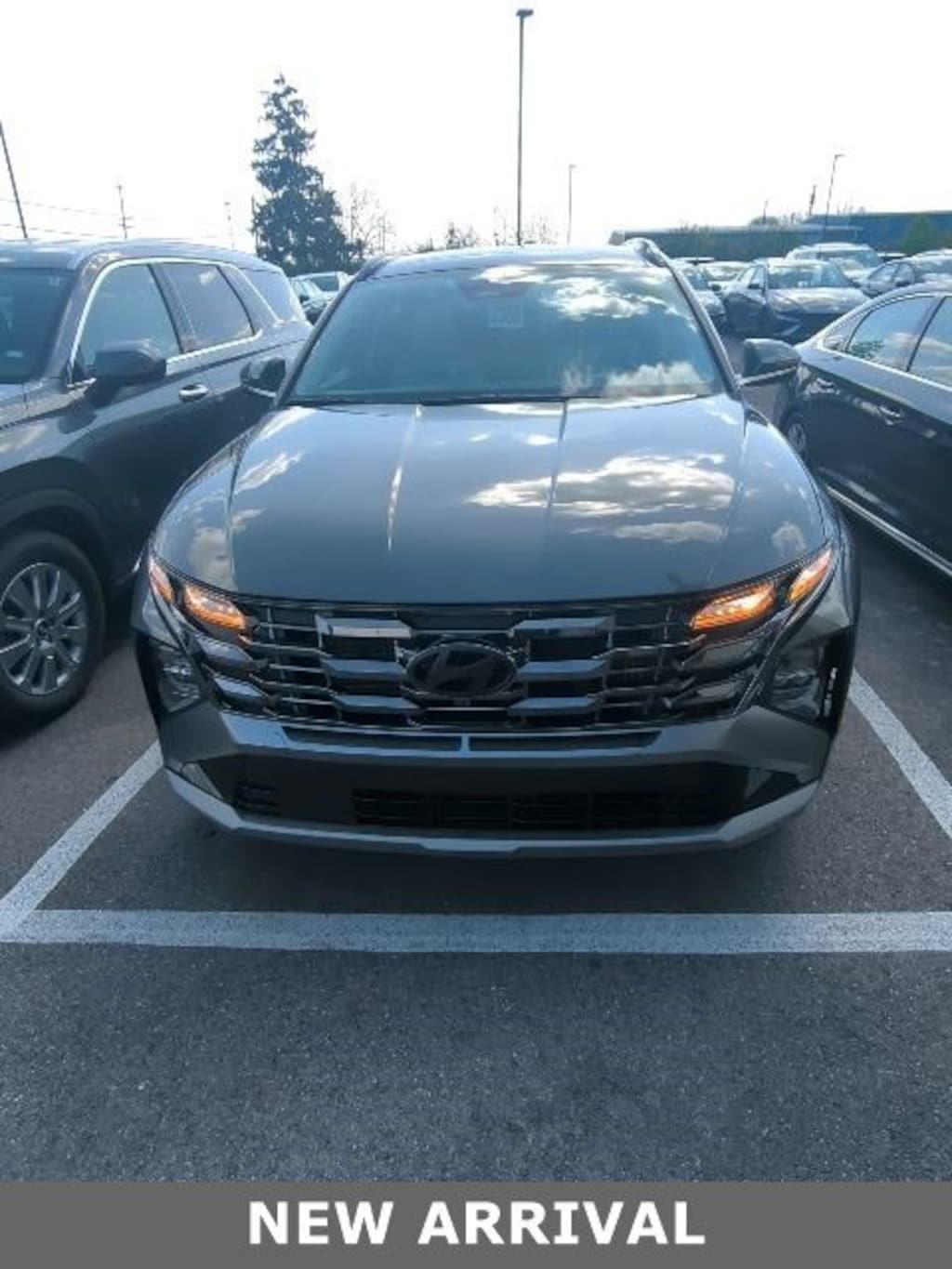 Used 2025 Hyundai Tucson Hybrid Limited SUV