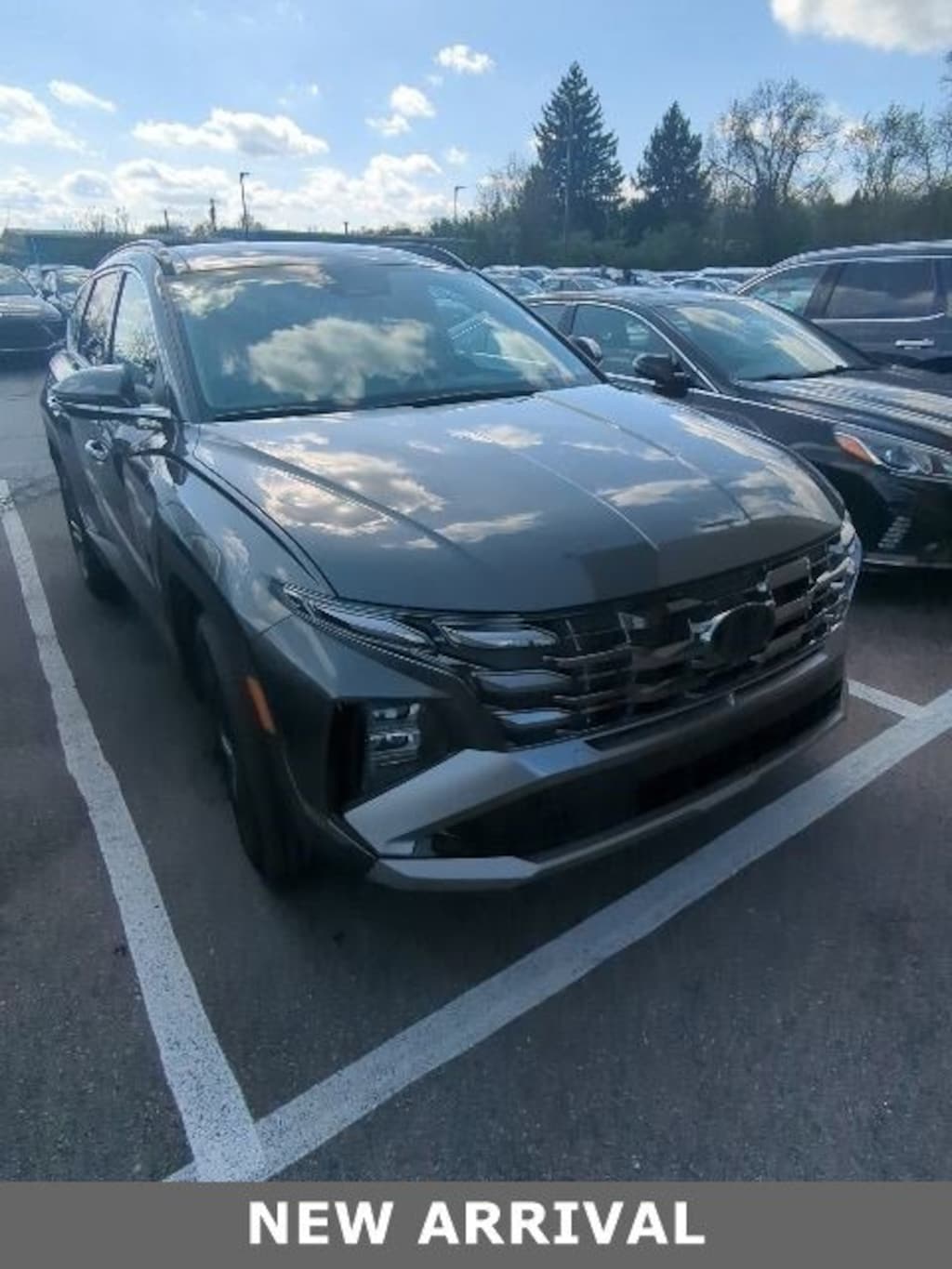 Used 2025 Hyundai Tucson Hybrid Limited SUV