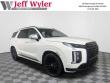 New 2025 Hyundai Palisade Calligraphy Night Edition AWD SUV