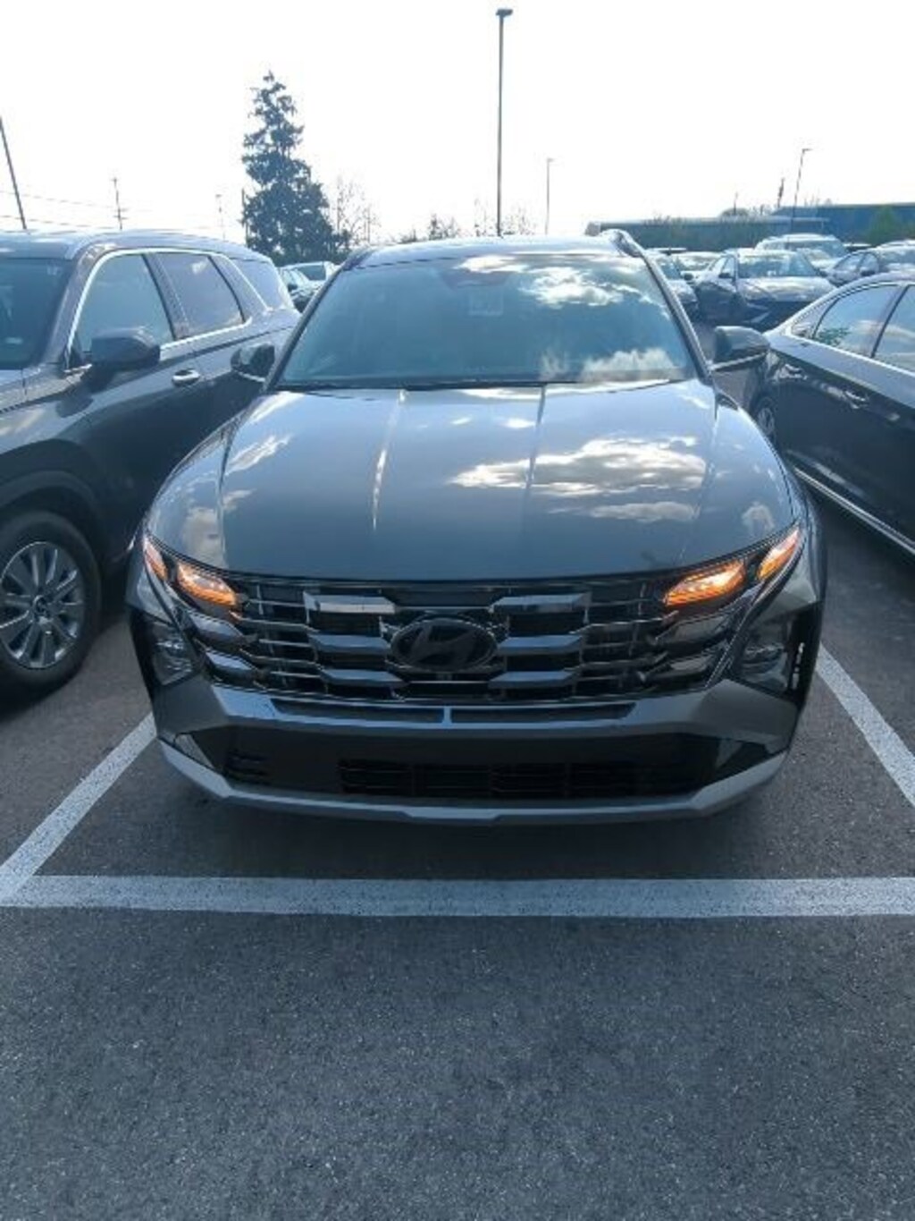 Used 2025 Hyundai Tucson Hybrid Limited SUV