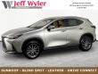 Used 2024 Lexus NX 250  SUV