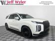 New 2025 Hyundai Palisade Calligraphy Night Edition AWD SUV