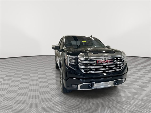 2025 Gmc Sierra 1500 Denali photo 3
