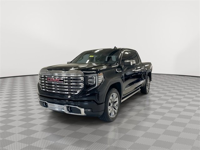 2025 Gmc Sierra 1500 Denali photo 4
