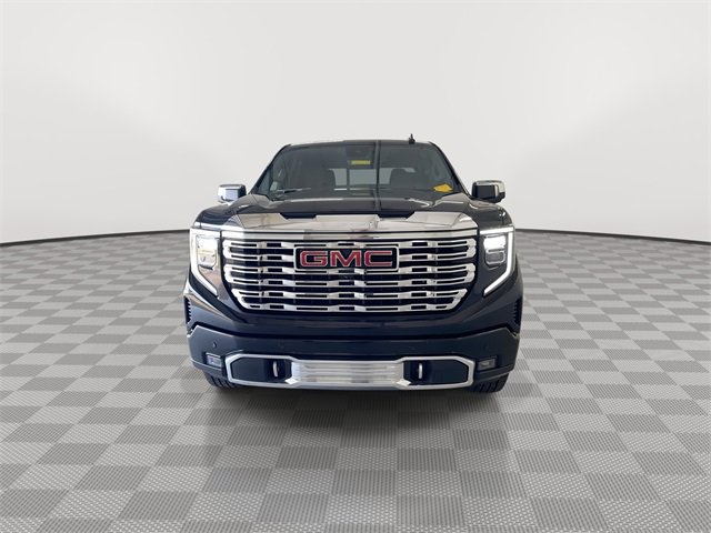 2023 Gmc Sierra 1500 Denali photo 4