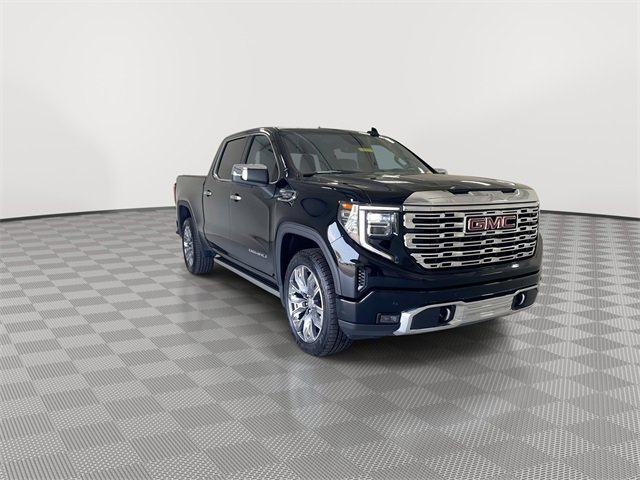 2023 Gmc Sierra 1500 Denali photo 2