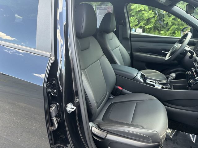 2025 Hyundai Santa Cruz SEL - Photo 18
