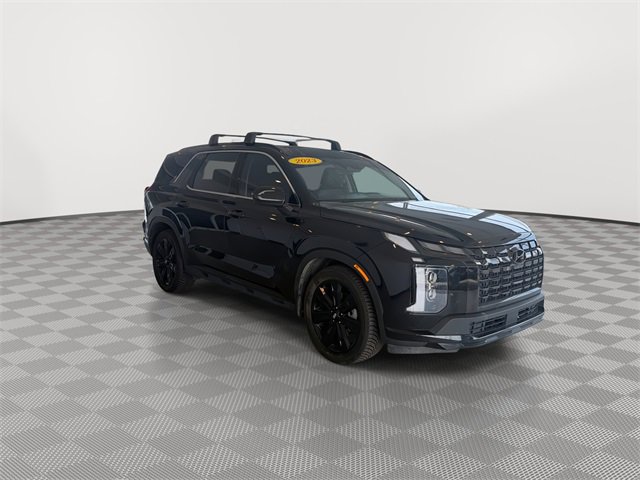 2023 Hyundai Palisade XRT photo 2