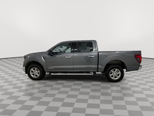 2025 Ford F-150 XLT - Photo 6