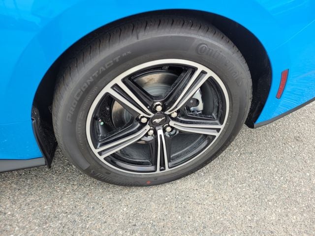 2025 Ford Mustang EcoBoost Fastback - Photo 6