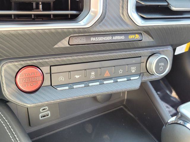 2025 Ford Mustang EcoBoost Premium Fastback - Photo 17