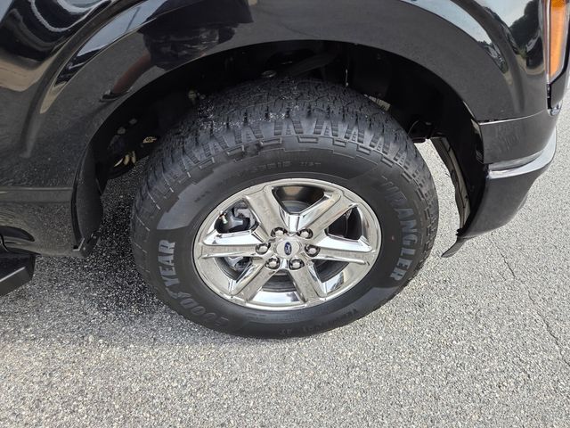 Photo 16