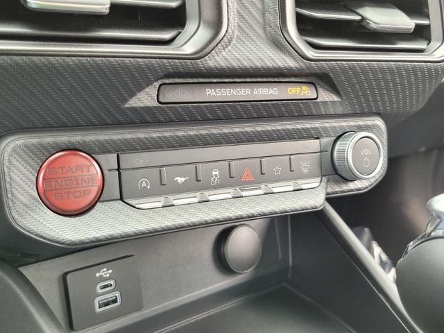 2025 Ford Mustang EcoBoost Fastback - Photo 17