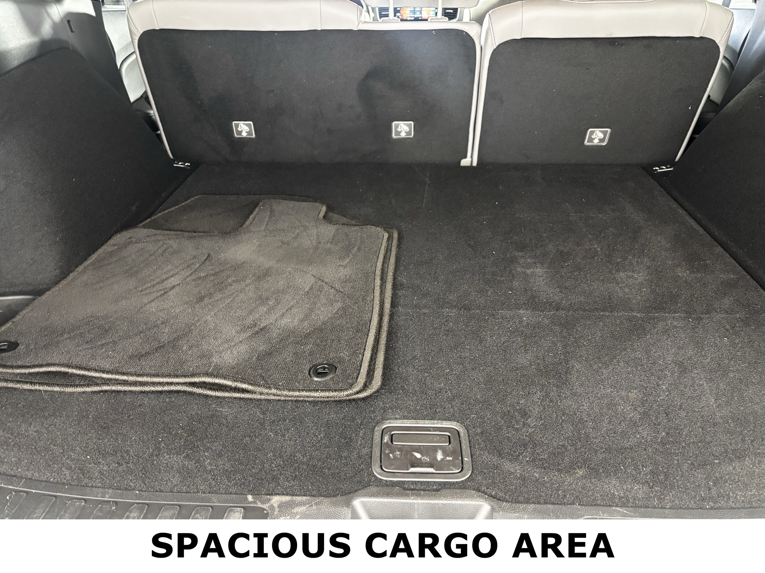 2023 Honda Passport EX-L photo 3