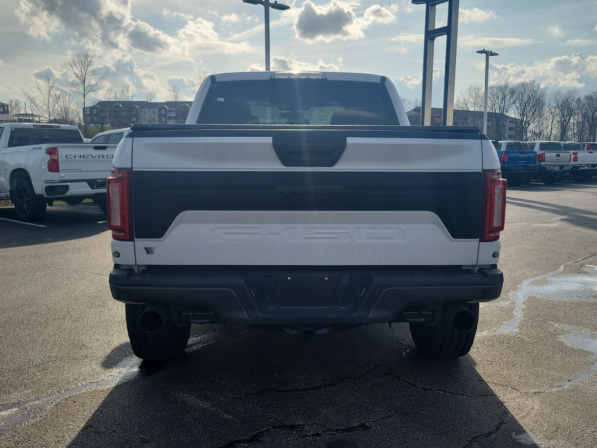 2020 Ford F-150 Raptor - Photo 6