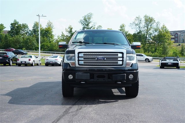 2014 Ford F-150 Platinum photo 2