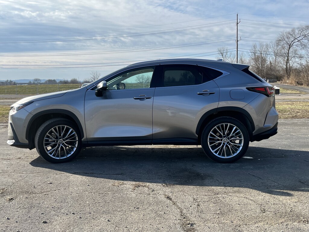 Used 2025 Lexus NX NX 350 Luxury AWD SUV