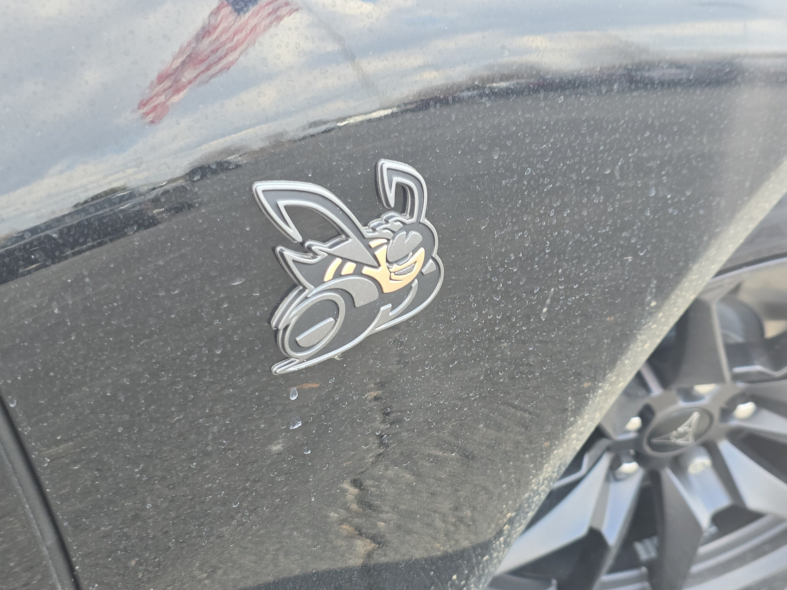 Photo 16