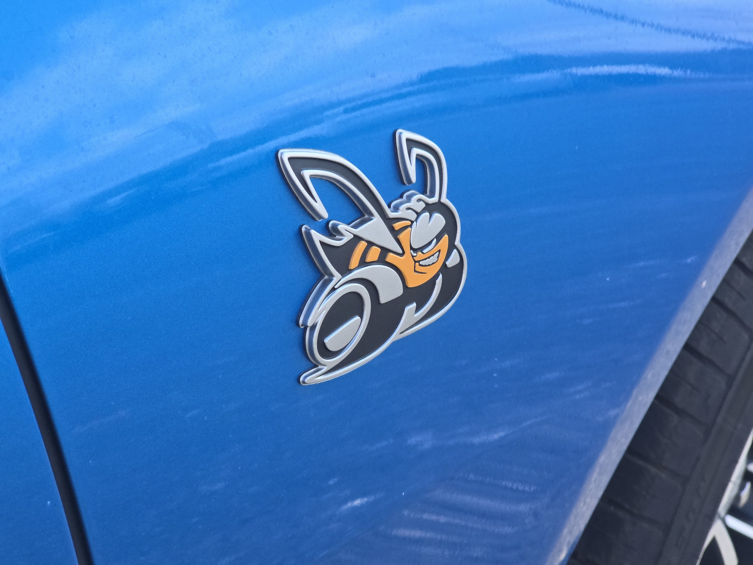 Photo 16