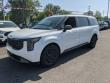 Used 2025 Kia Carnival Hybrid