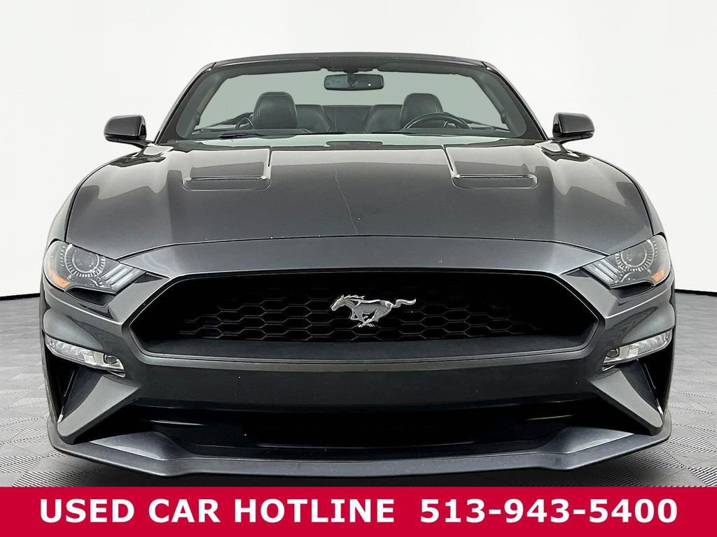 Used 2019 Ford Mustang EcoBoost Premium with VIN 1FATP8UH0K5179420 for sale in Batavia, OH
