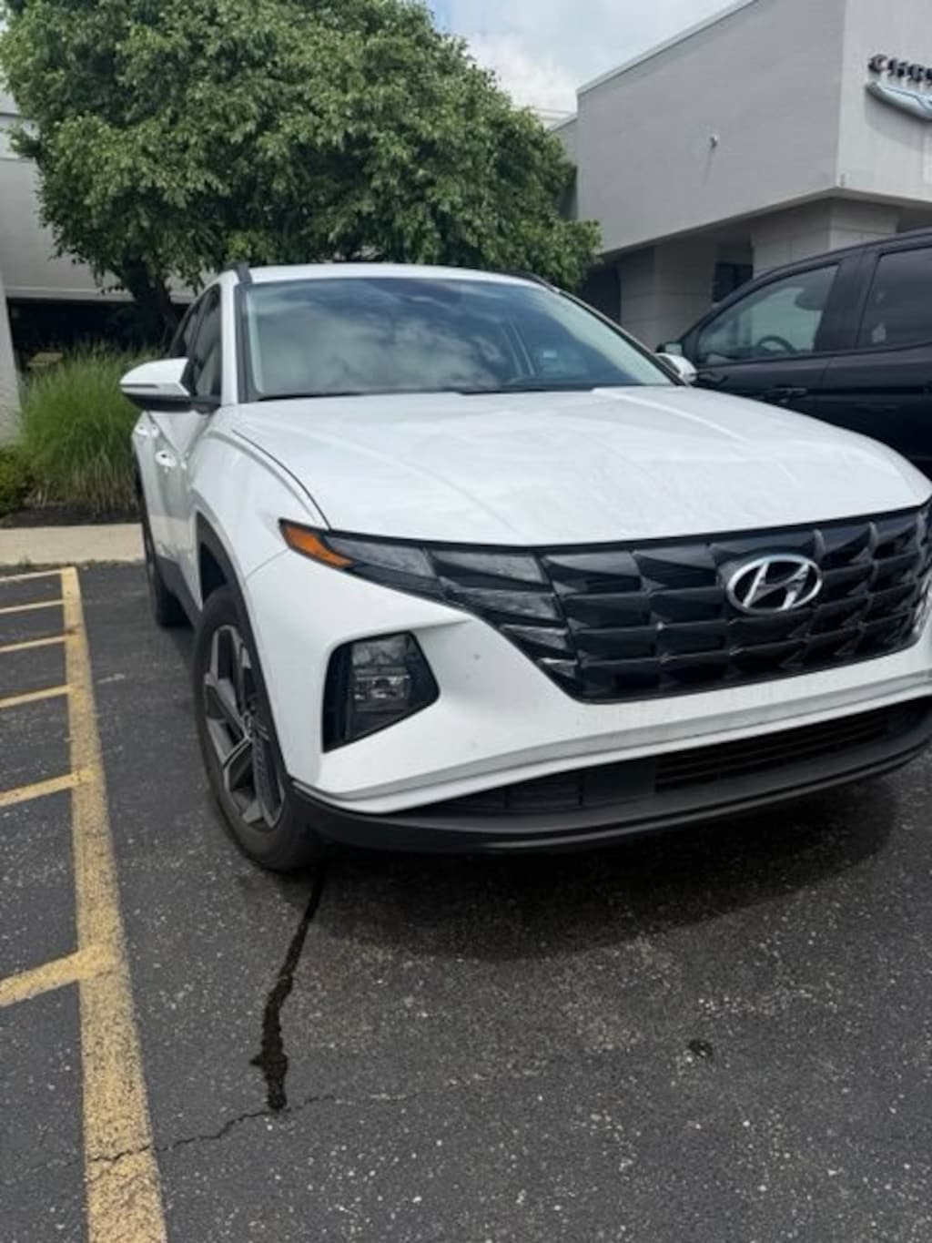 Used 2023 Hyundai Tucson SUV