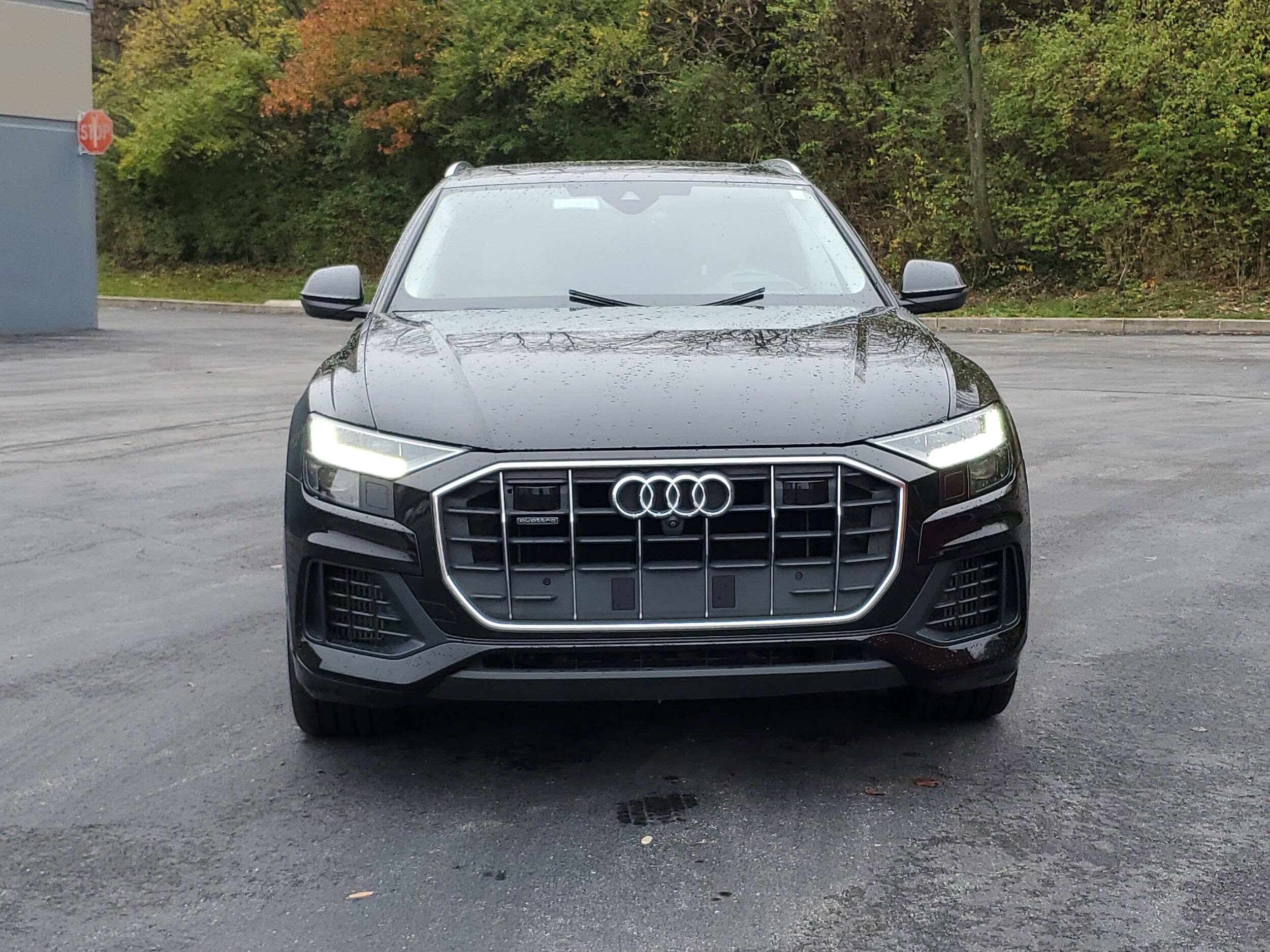 2019 Audi Q8 Prestige 55 photo 2