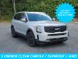 Used 2022 Kia Telluride SX AWD SUV