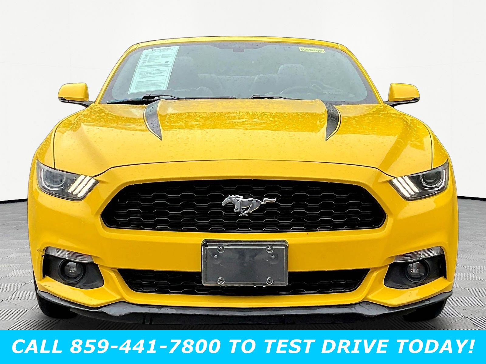 Used 2016 Ford Mustang EcoBoost Premium with VIN 1FATP8UH9G5304597 for sale in Fort Thomas, KY