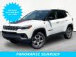 Used 2022 Jeep Compass Trailhawk 4x4 SUV