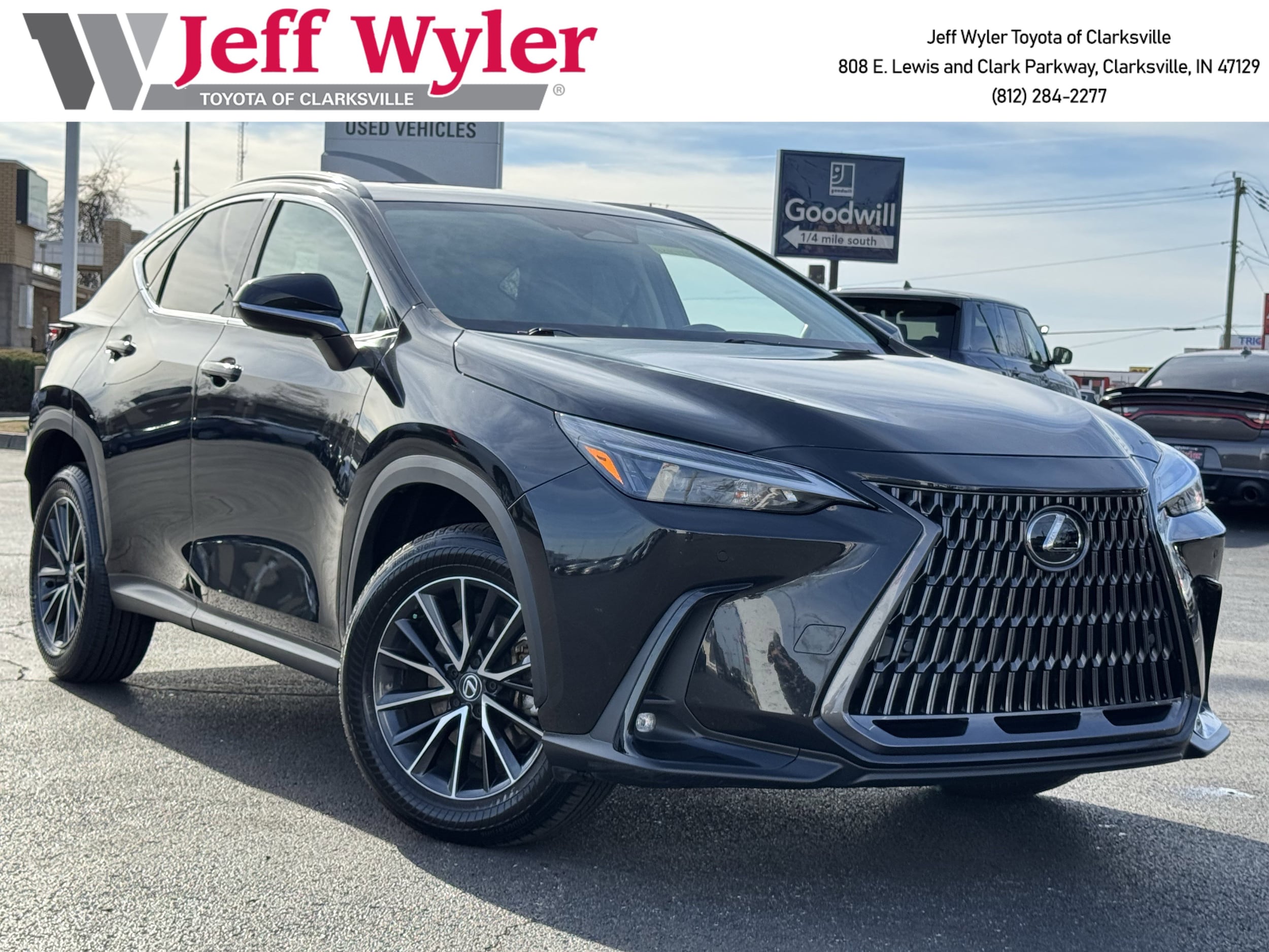 2024 Lexus NX 350's photo