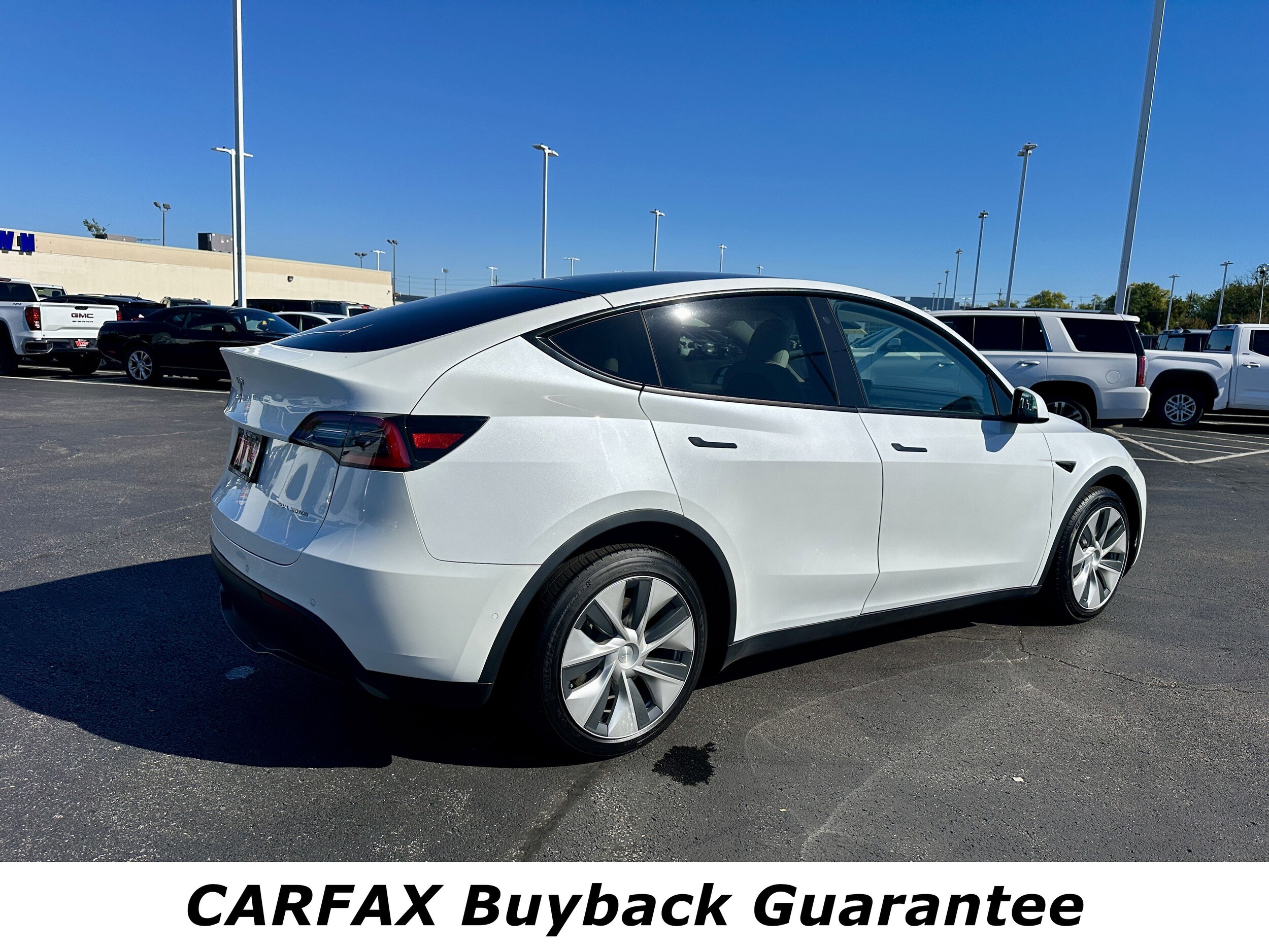 2020 Tesla Model Y Long Range photo 3