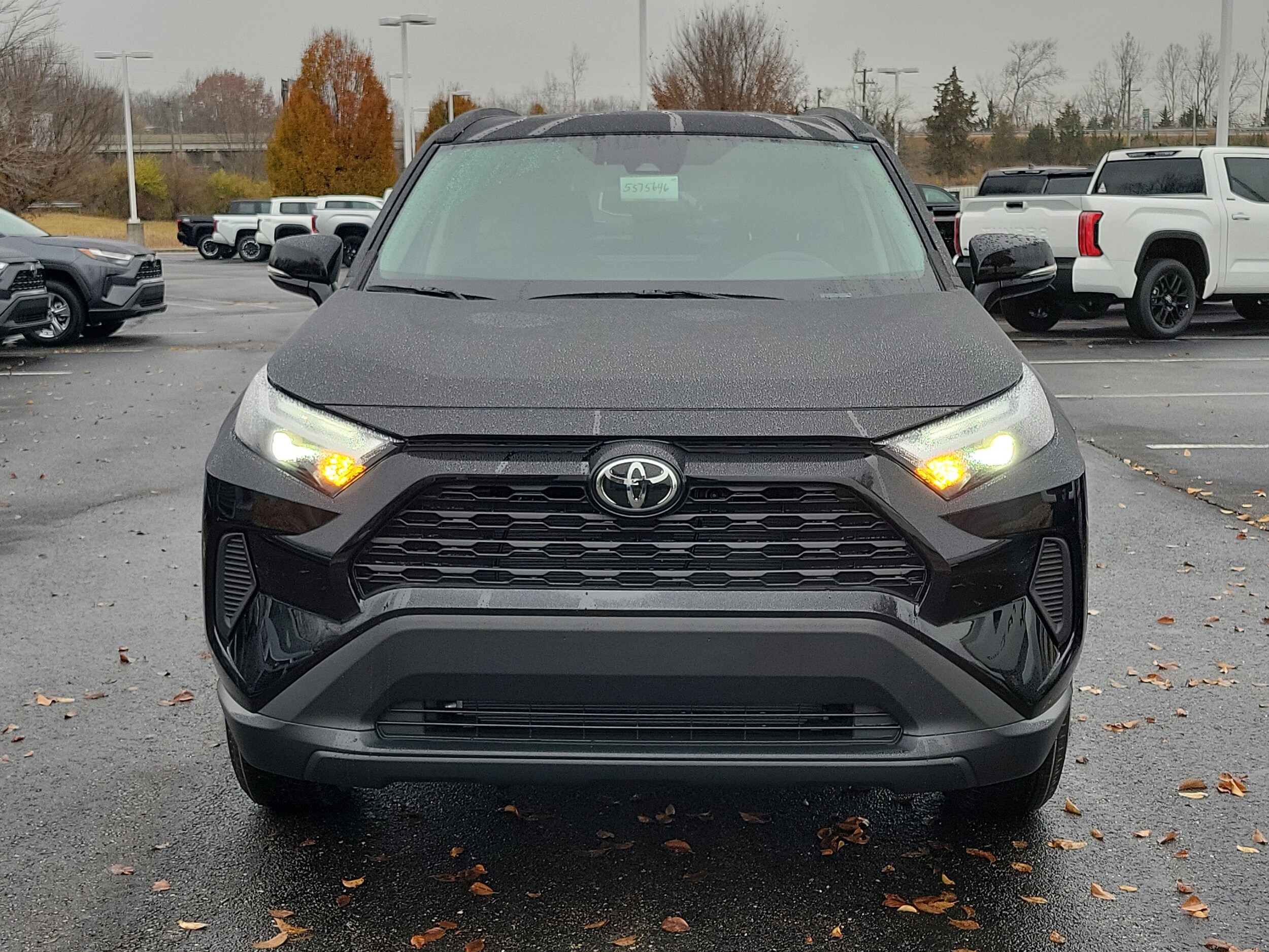 2025 Toyota RAV4 XLE photo 2