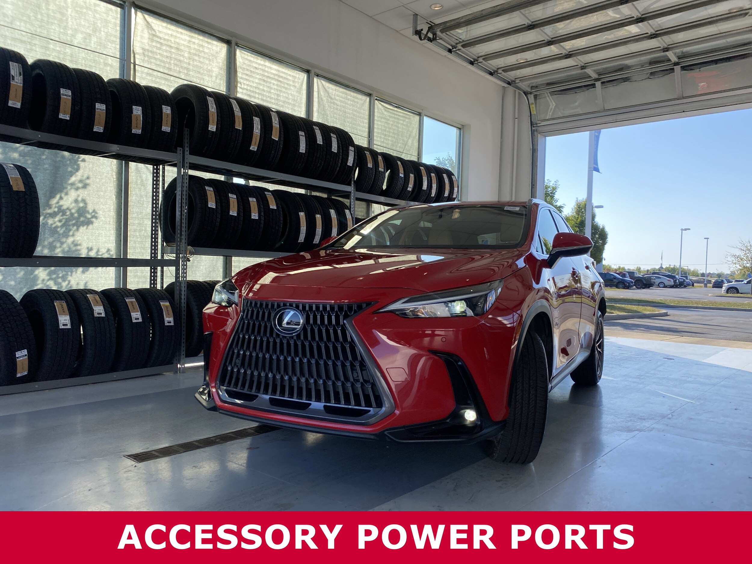2023 Lexus NX 250 Premium photo 2