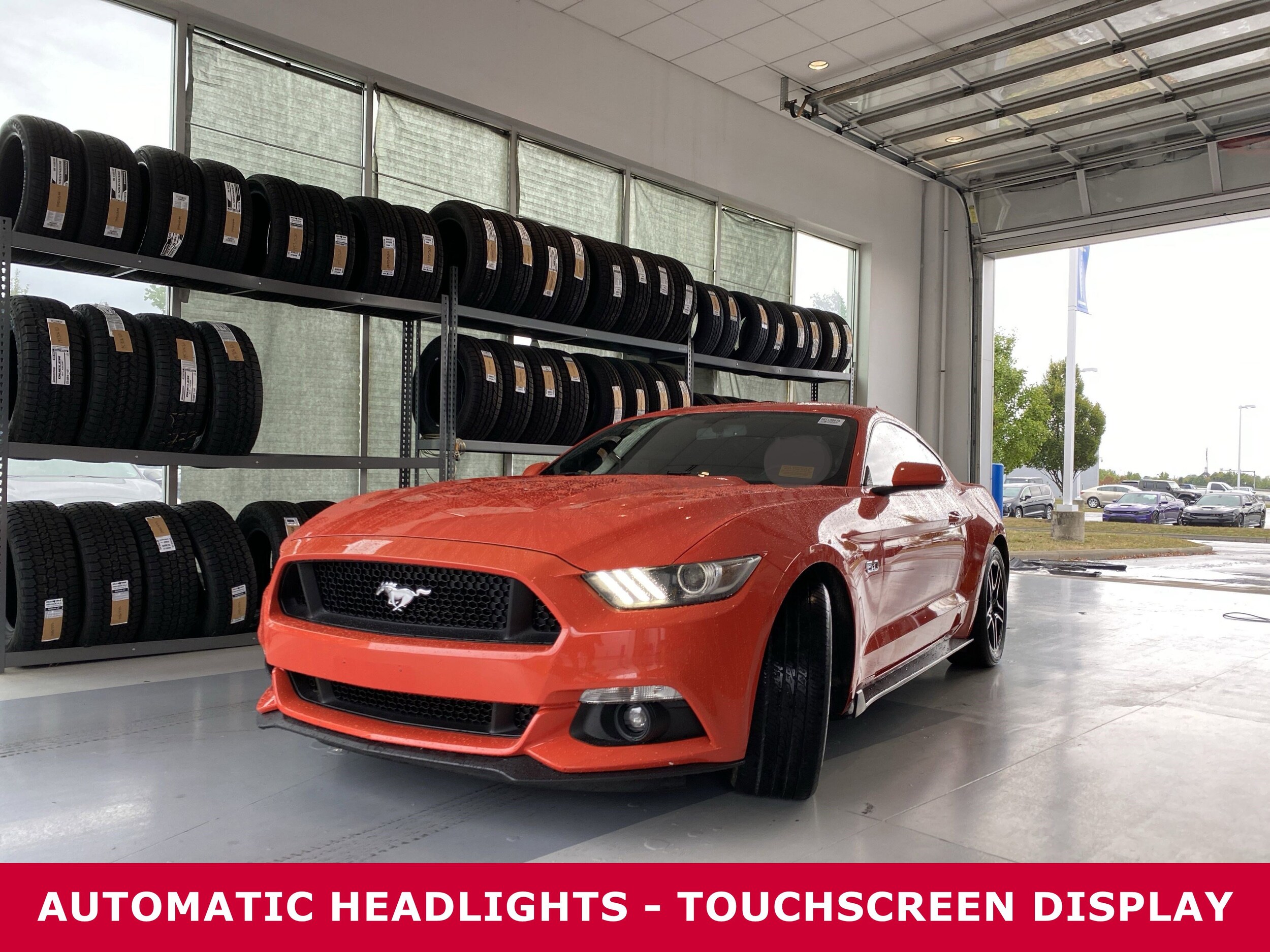 2015 Ford Mustang GT photo 2