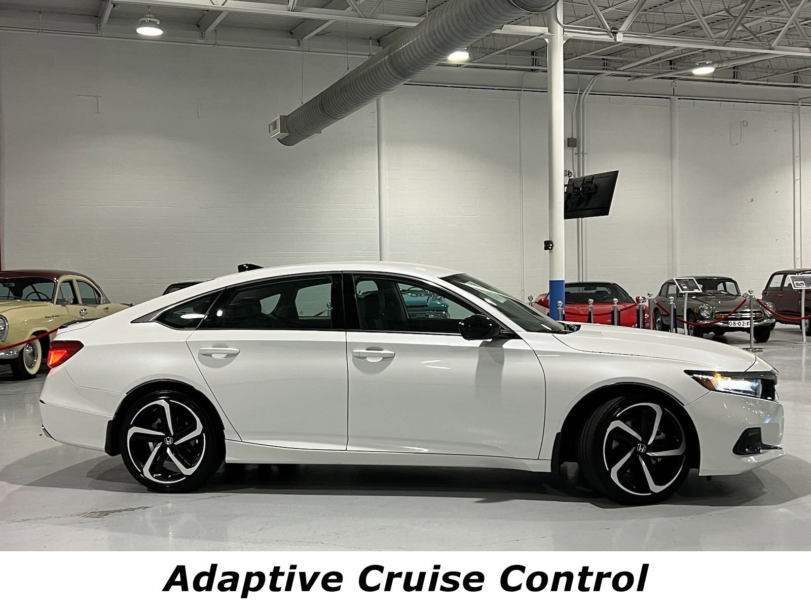 Used 2022 Honda Accord Sport SE with VIN 1HGCV1F44NA055536 for sale in Louisville, KY