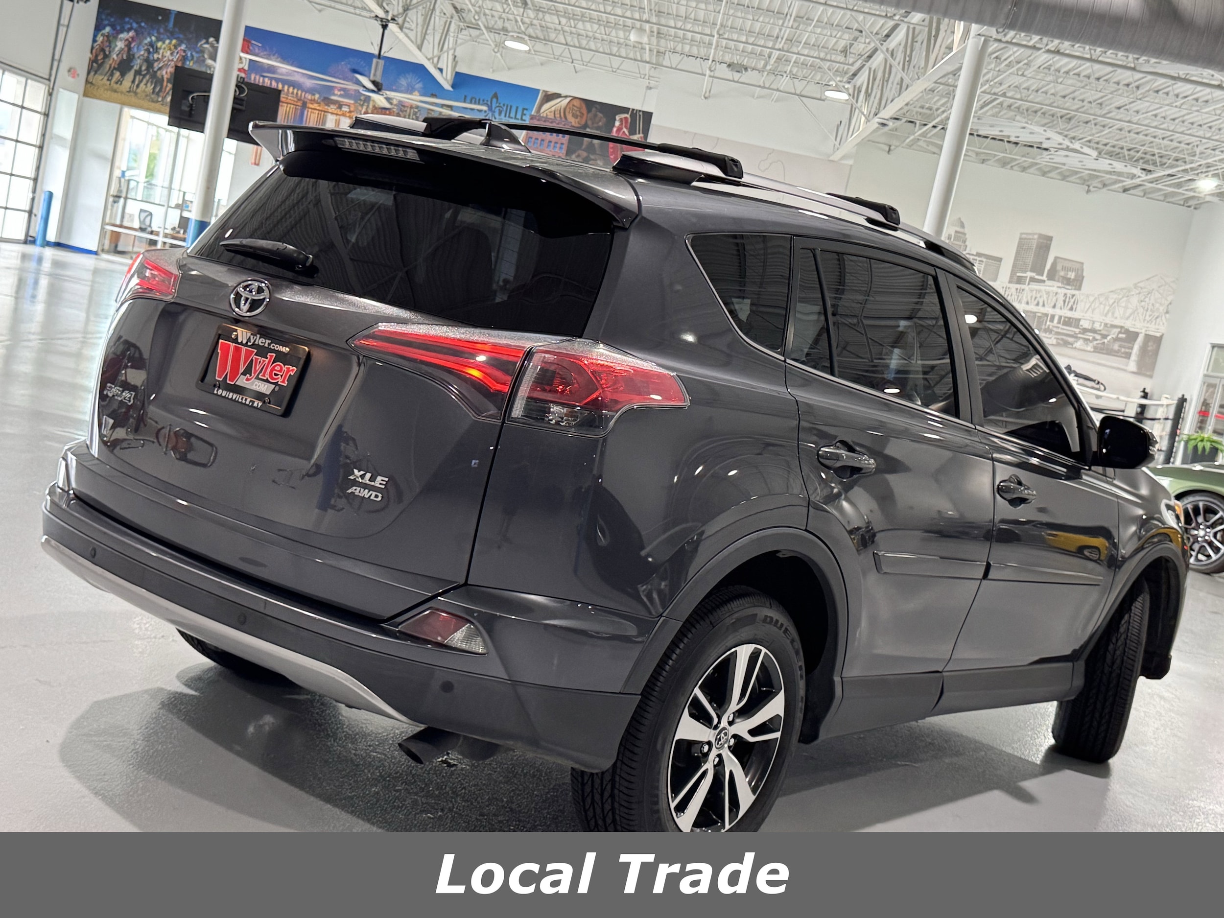 2017 Toyota RAV4 XLE photo 3