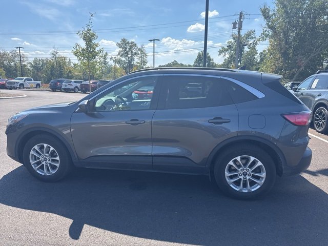2020 Ford Escape SE photo 3