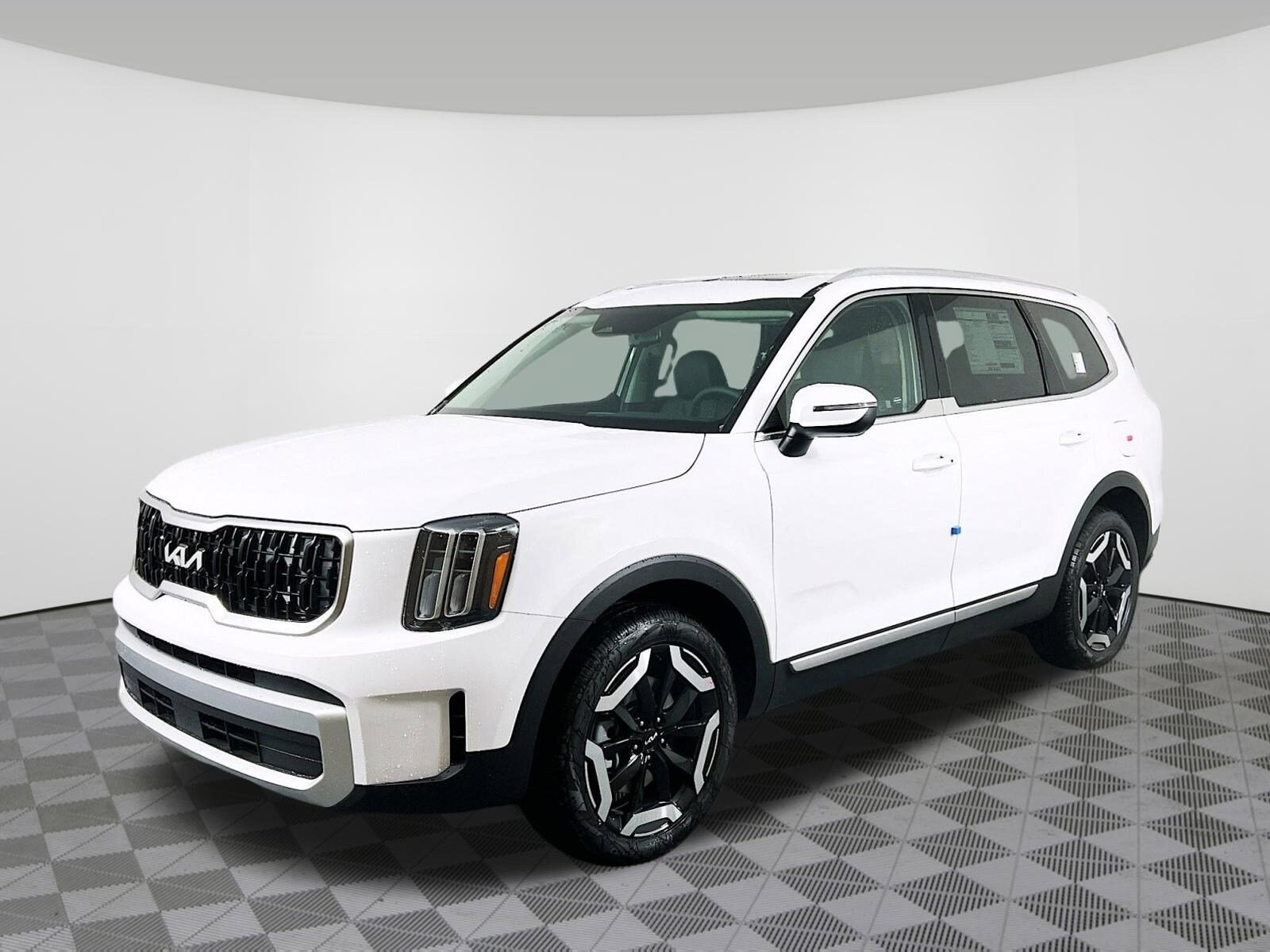 2025 Kia Telluride EX photo 2