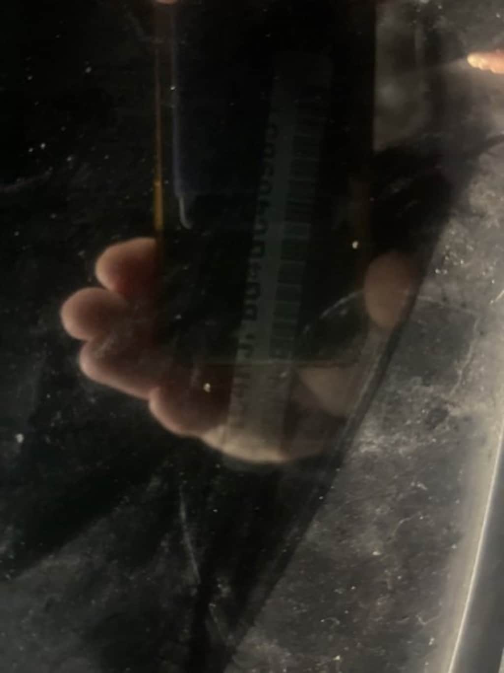 Used 2016 Jeep Grand Cherokee Limited 75th Anniversary SUV