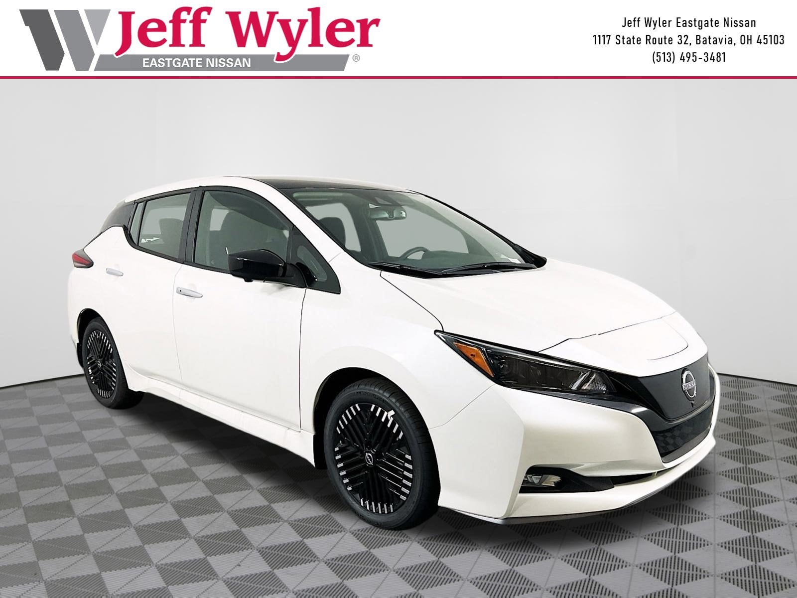 2025 Nissan Leaf SV PLUS's photo