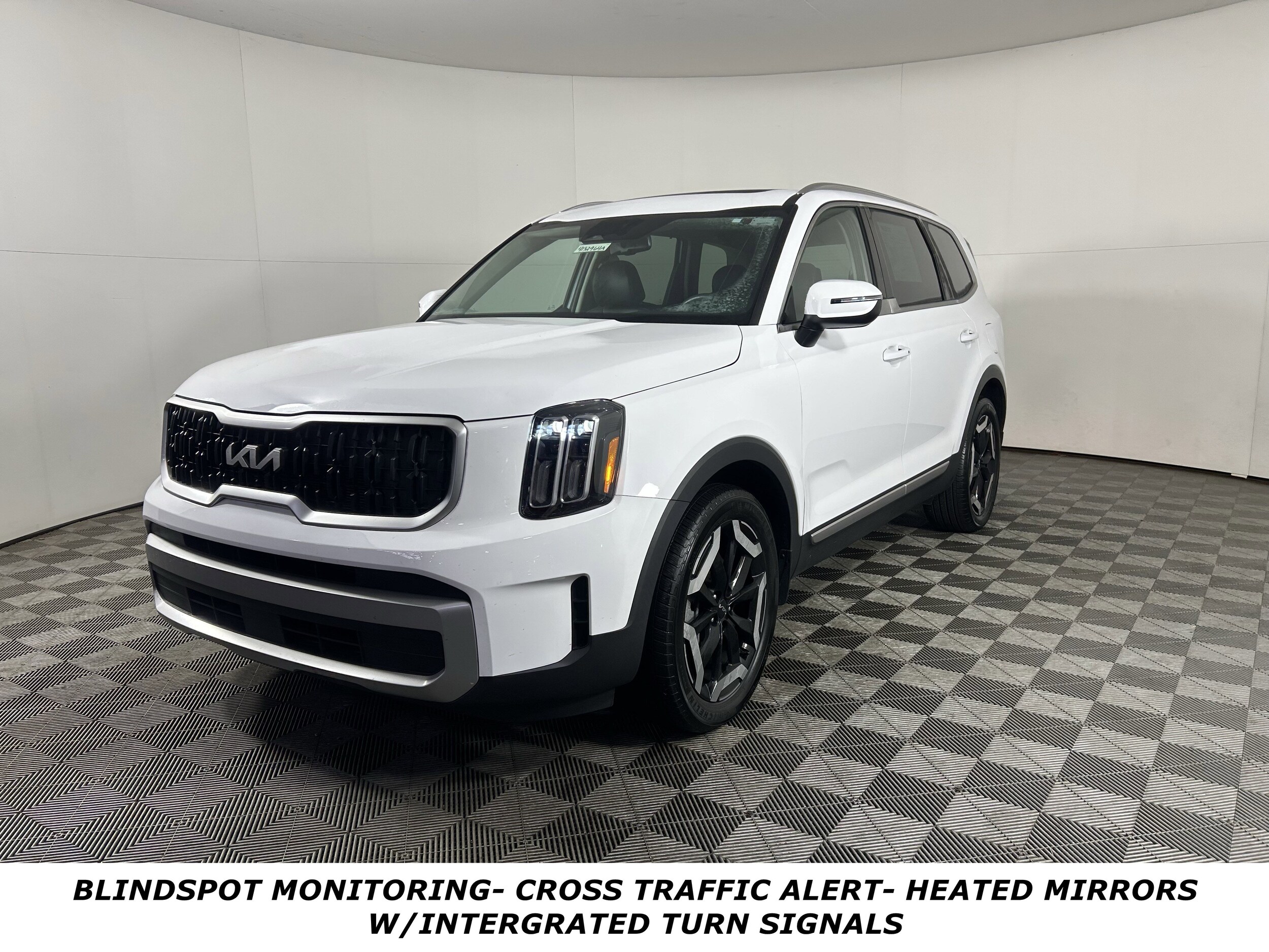 2023 Kia Telluride EX photo 2