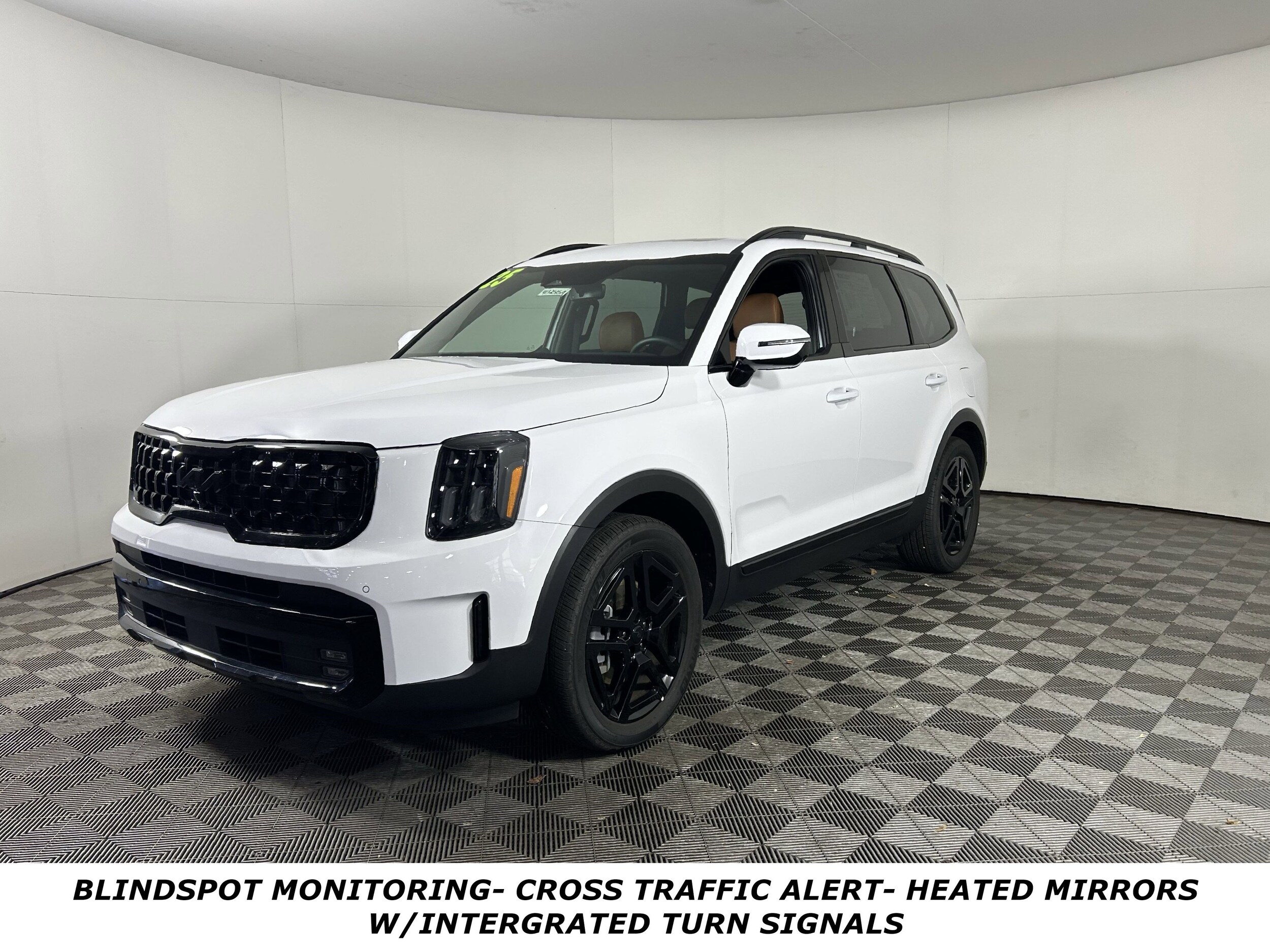 2025 Kia Telluride SX X-Line photo 3