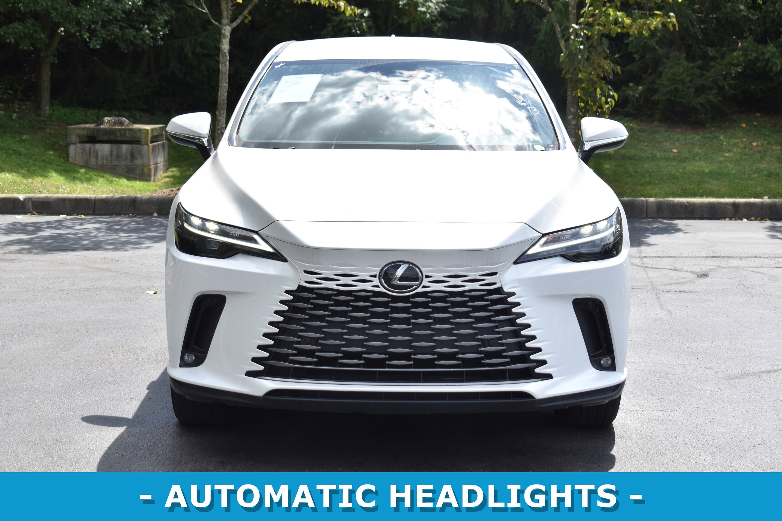 2024 Lexus RX 350 photo 2