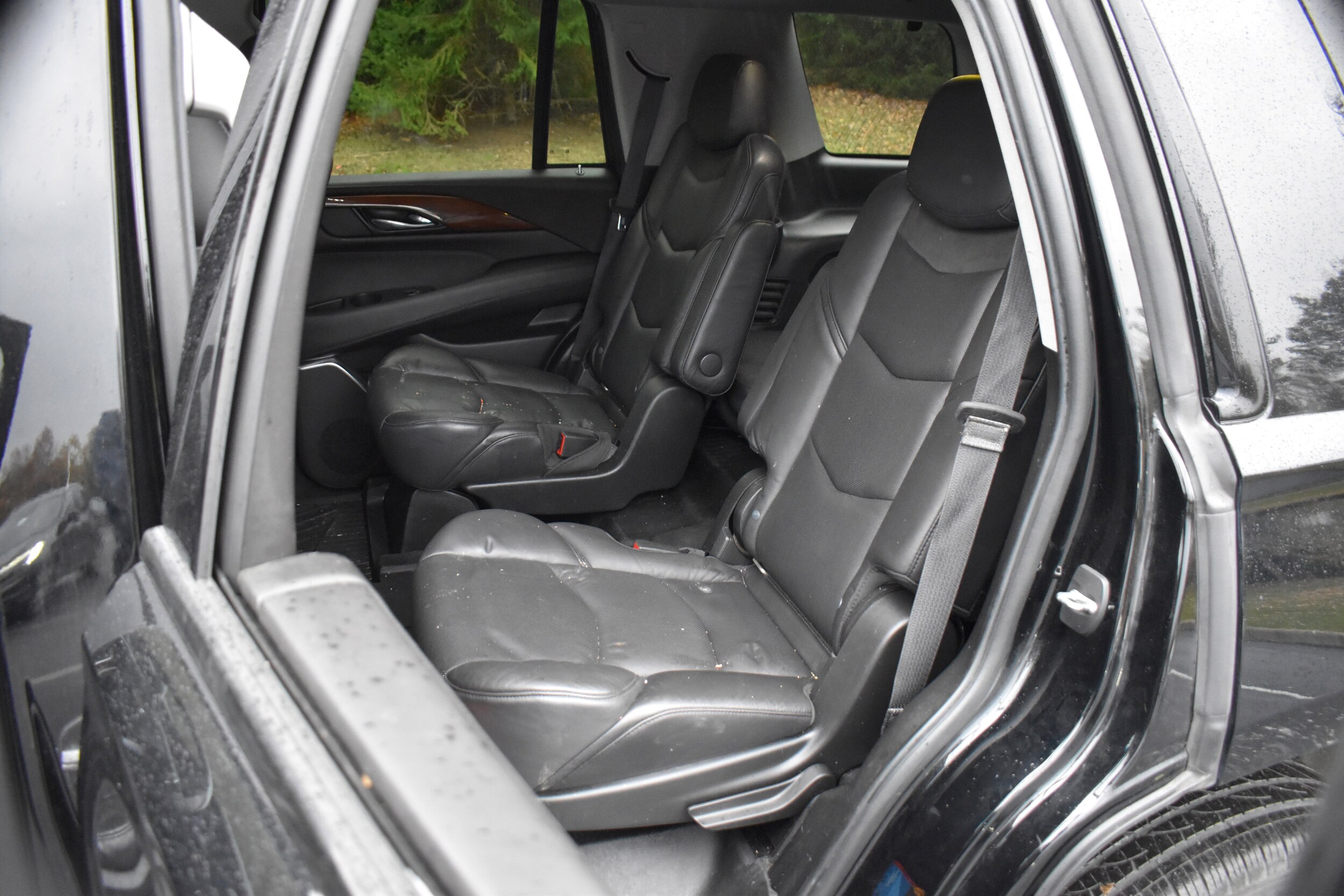 2020 Cadillac Escalade Luxury photo 3